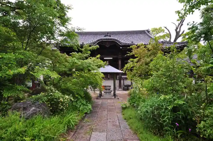 志度寺の本殿・本堂