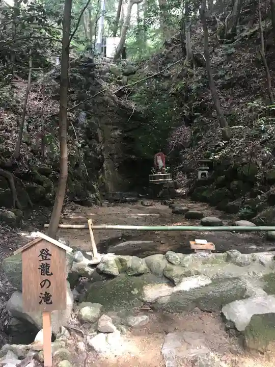 星田妙見宮の自然