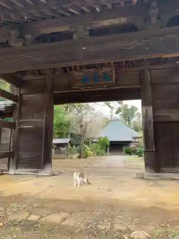 円天寺(千葉県)