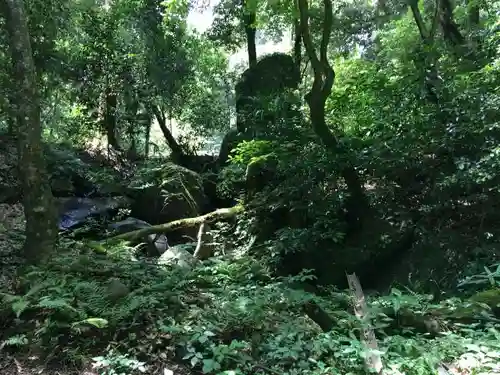 東霧島神社の自然