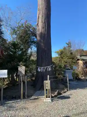 鶴峯八幡宮(千葉県)