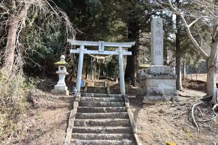 白幡神社の鳥居