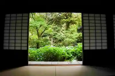 東大寺別院阿弥陀寺の庭園