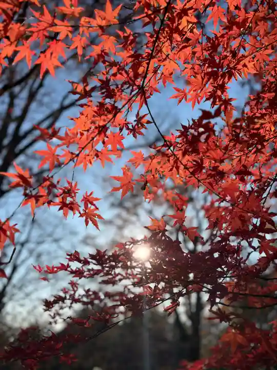 武田神社(山梨県)