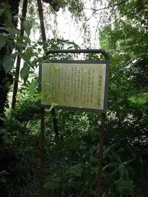 梅岩寺の歴史
