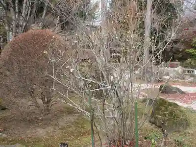 長泉院(埼玉県)