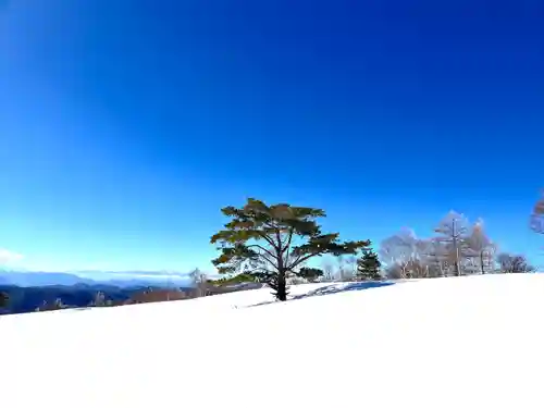 山家神社奥宮の景色