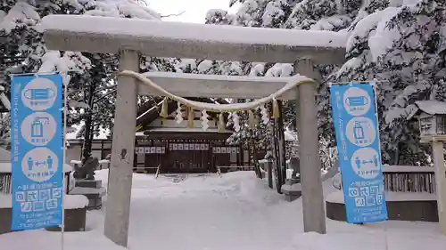 新琴似神社の鳥居