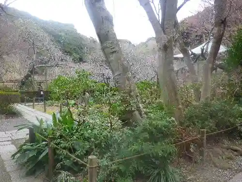 瑞泉寺の庭園