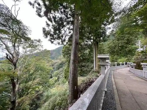 大山阿夫利神社(神奈川県)