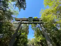 篠崎浅間神社の鳥居