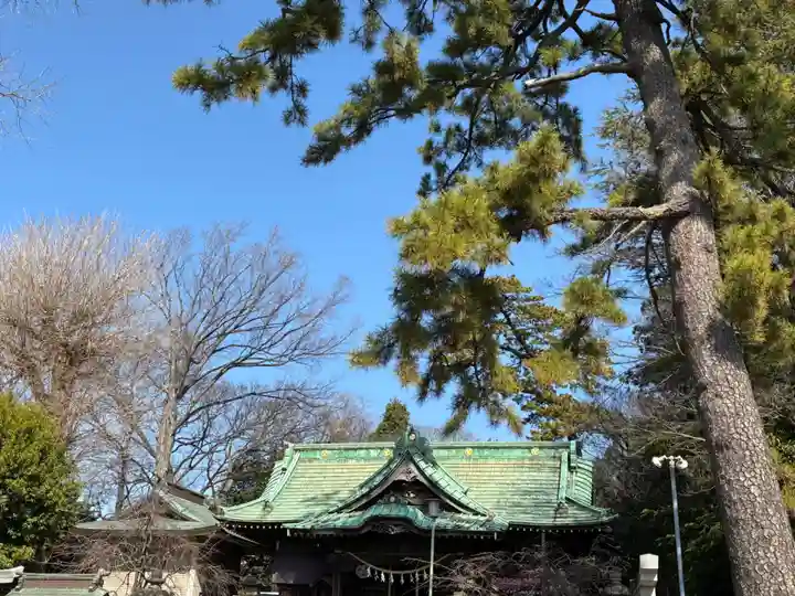 大曽根八幡神社(埼玉県)