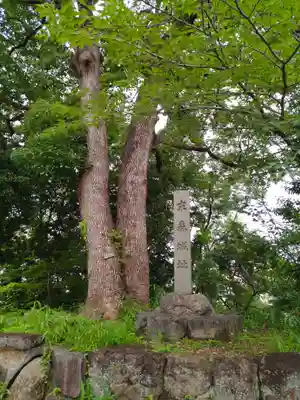 城山八幡宮の自然