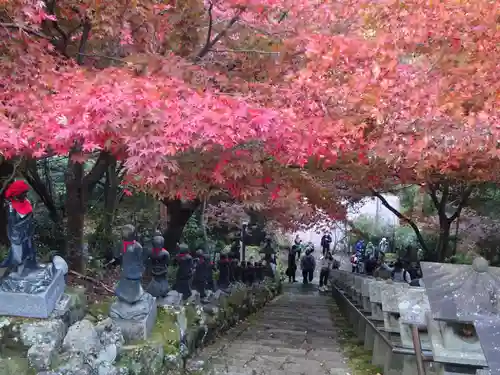 大山寺の自然