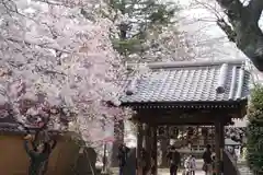 新井薬師（梅照院）の山門