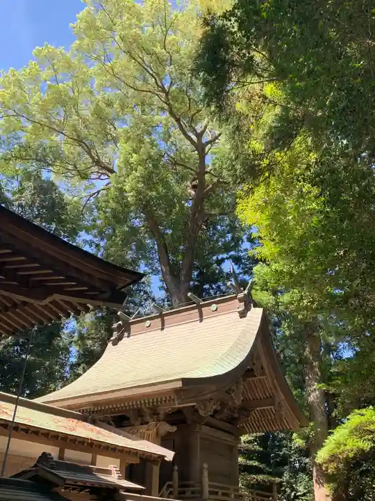 大國玉神社(茨城県)