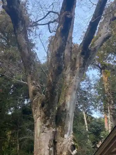 丹生川上神社（下社）(奈良県)