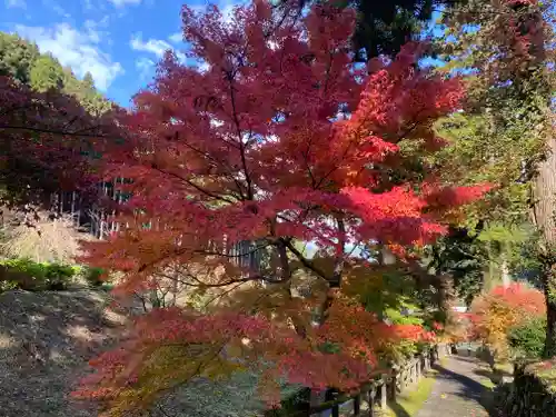 文保寺(兵庫県)