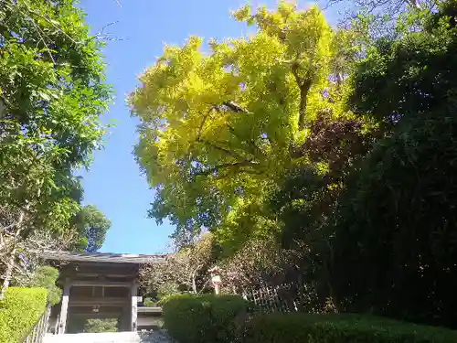 荏柄天神社のその他建物