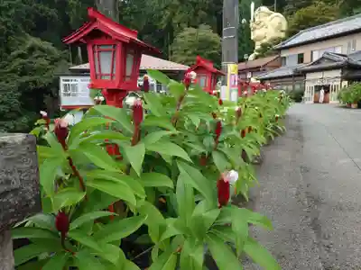 中之嶽神社(群馬県)