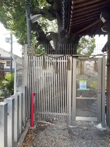 阿保神社の自然