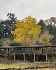 本土寺(千葉県)