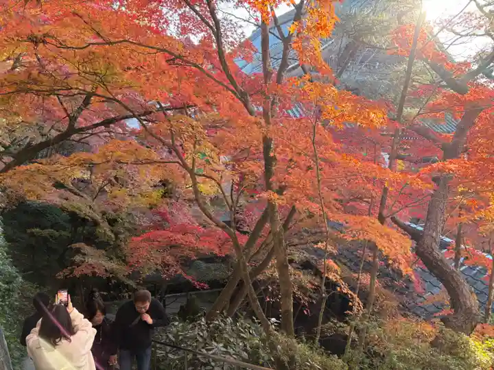 禅林寺(永観堂)(京都府)