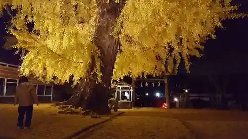 丹生酒殿神社の自然