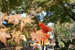 賀茂別雷神社（上賀茂神社）の自然