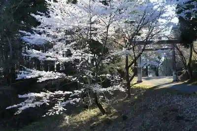 土津神社｜こどもと出世の神さまのその他建物