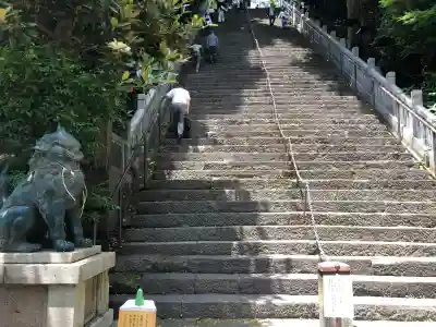 愛宕神社の狛犬