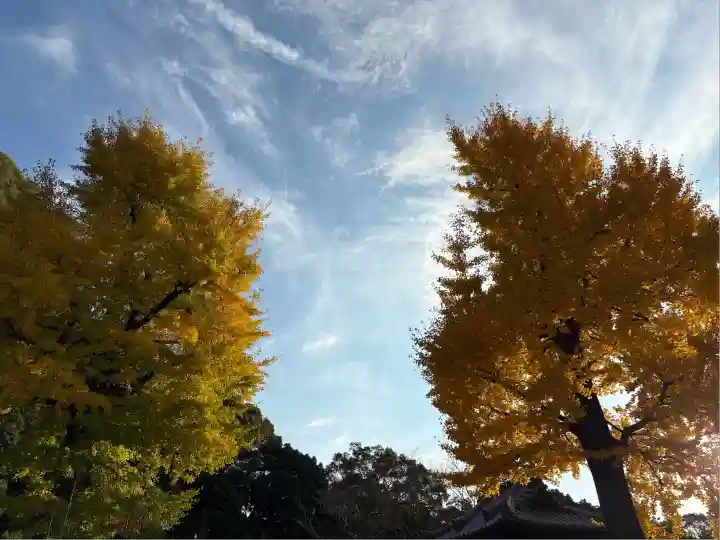 宝厳寺(愛媛県)