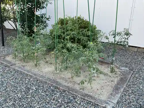 月笑寺(愛知県)