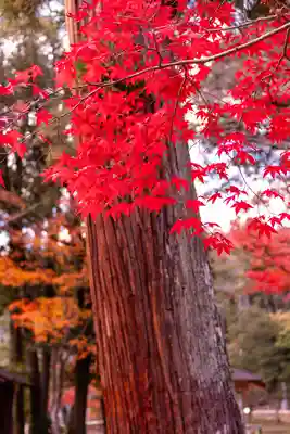 大原野神社(京都府)