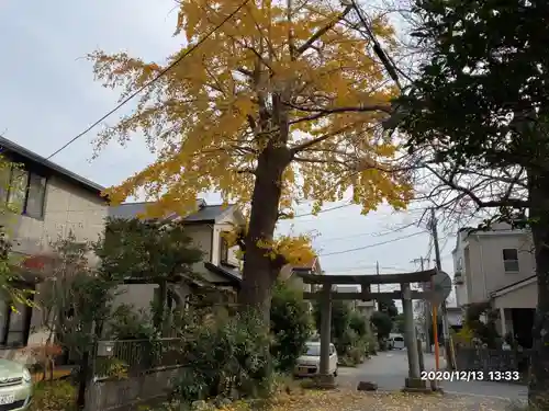 白岩神社の鳥居