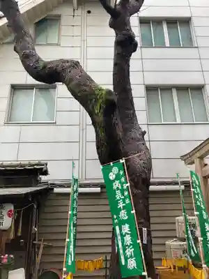 少彦名神社のその他建物