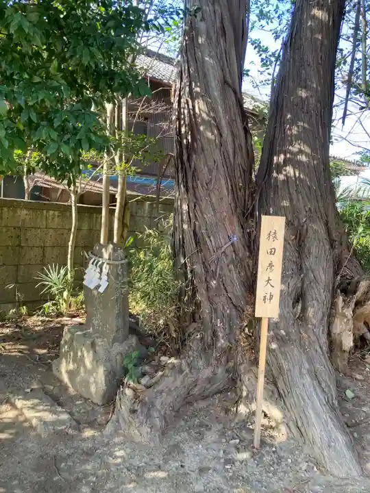 星宮神社(栃木県)