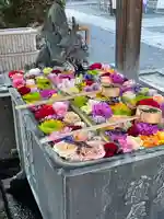 柳谷観音 楊谷寺(京都府)