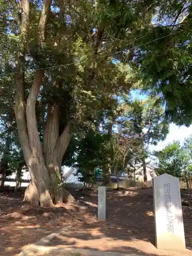 能見神明宮（元能見）の自然