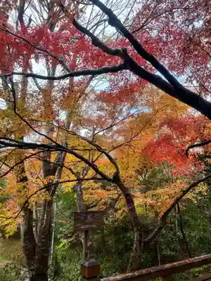 宝泉院(京都府)