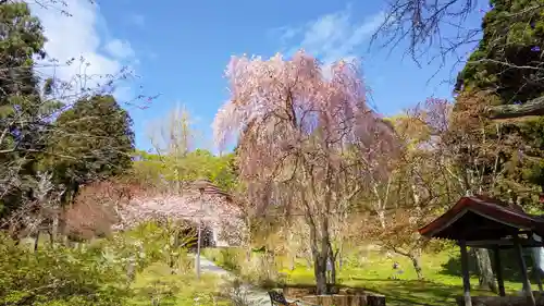 有珠善光寺の庭園