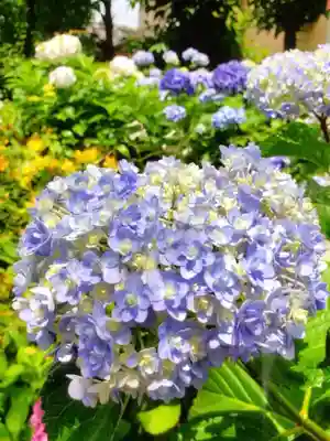 本郷氷川神社(東京都)