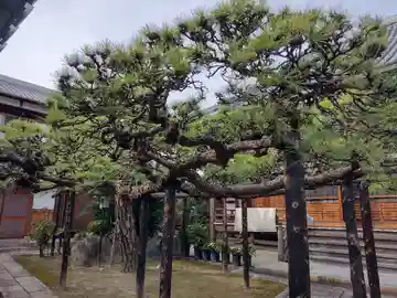 善福寺(大阪府)