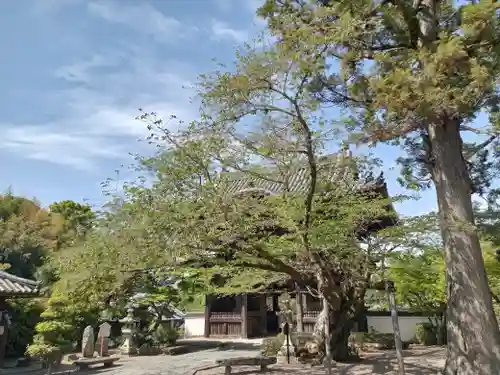 粉河寺(和歌山県)
