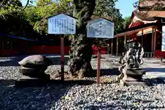 富士山本宮浅間大社(静岡県)