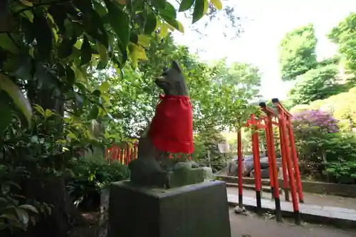 根津神社の狛犬