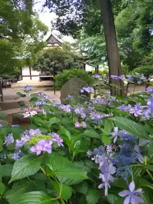 長命寺(東京都)