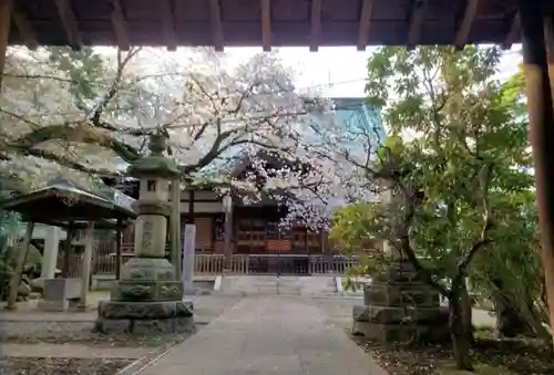 龍光寺(東京都)