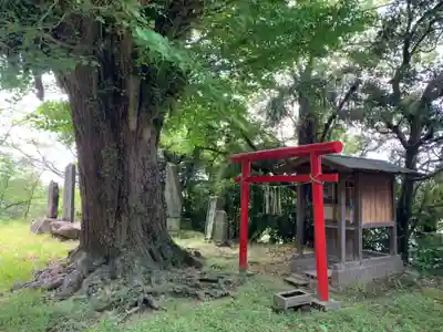 虚空蔵尊(千葉県)
