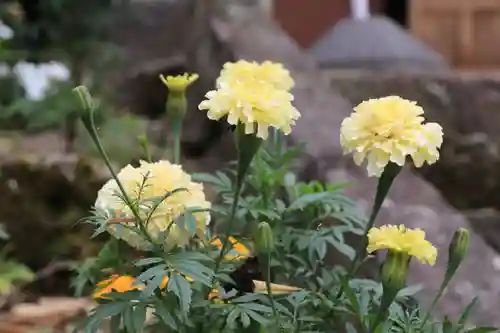 神炊館神社 ⁂奥州須賀川総鎮守⁂の庭園